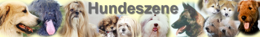 www.hundeszene.de