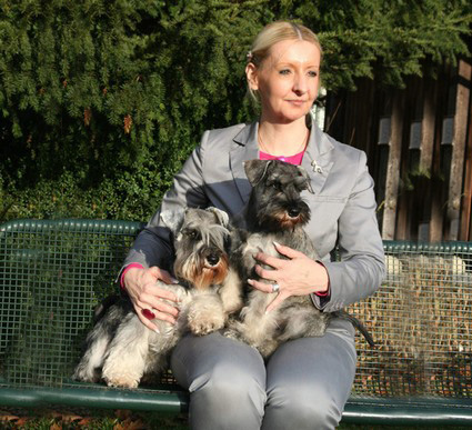 N-Wurf Peppersdegabritho Zwergschnauzer Peppersdegabritho Zweergschnauzer
