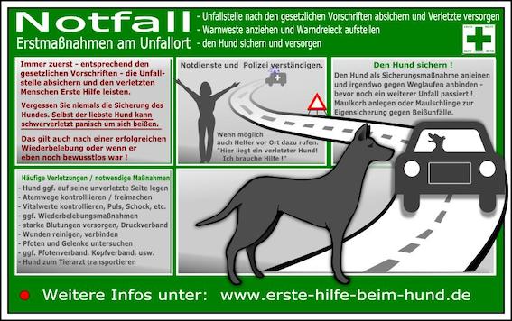 Peppersdegabritho Zwergschnauzer