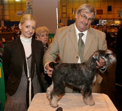 Krawuzi Peppersdegabritho: Peppersdegabritho - Zwergschnauzer / Miniature Schnauzer