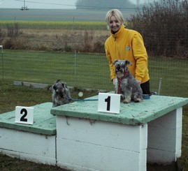 Peppersdegabritho Zwergschnauzer / Miniature Schnauzer