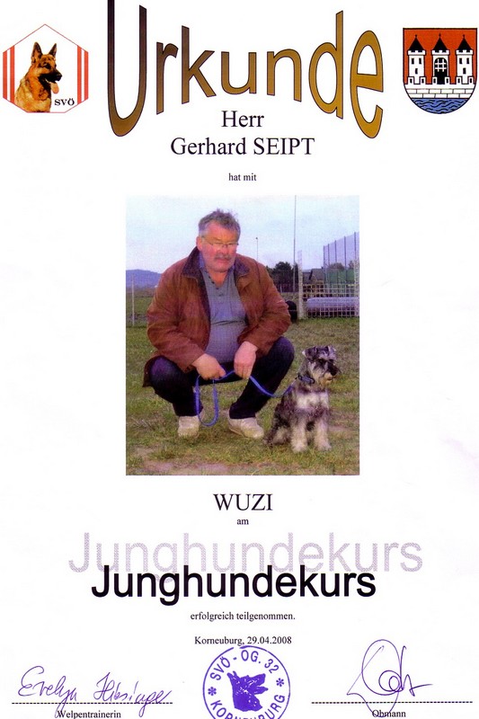 Peppersdegabritho Zwergschnauzer / Miniature Schnauzer