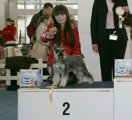 Peppersdegabritho Zwergschnauzer / Miniature Schnauzer