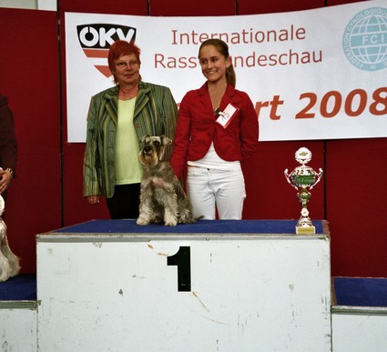 Granada De GabriTho: Peppersdegabritho - Zwergschnauzer / Miniature Schnauzer