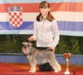 Granada De GabriTho: Peppersdegabritho - Zwergschnauzer / Miniature Schnauzer