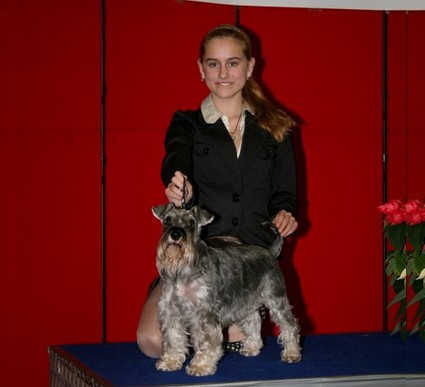 Granada De GabriTho: Peppersdegabritho - Zwergschnauzer / Miniature Schnauzer