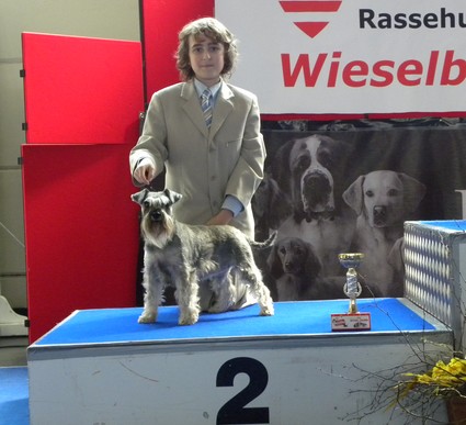 Granada De GabriTho: Peppersdegabritho - Zwergschnauzer / Miniature Schnauzer