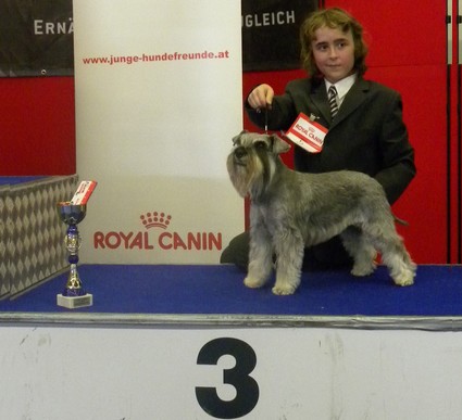 Granada De GabriTho: Peppersdegabritho - Zwergschnauzer / Miniature Schnauzer