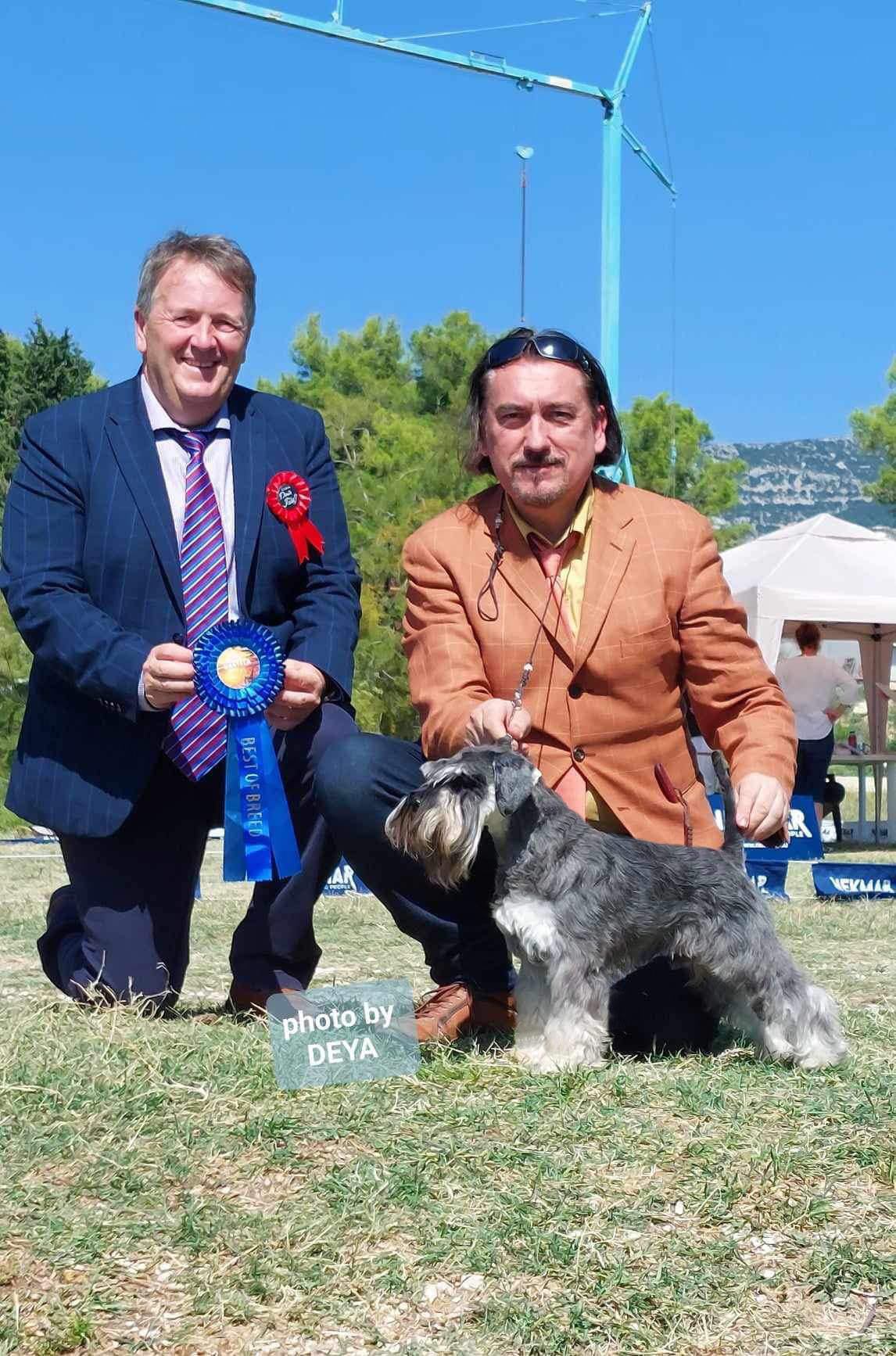 Victory Super Man Cori Celesti Peppergabito: Peppersdegabritho - Zwergschnauzer / Miniature Schnauzer Victory Super Man Cori Celesti Peppergabito: Peppersdegabritho - Zwergschnauzer / Miniature Schnauzer