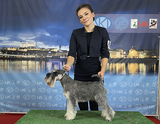 Rock The Boat Peppersdegabritho: Peppersdegabritho - Zwergschnauzer / Miniature Schnauzer Rock The Boat Peppersdegabritho: Peppersdegabritho - Zwergschnauzer / Miniature Schnauzer