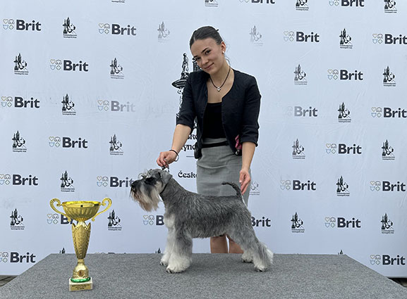 Rock The Boat Peppersdegabritho: Peppersdegabritho - Zwergschnauzer / Miniature Schnauzer Rock The Boat Peppersdegabritho: Peppersdegabritho - Zwergschnauzer / Miniature Schnauzer